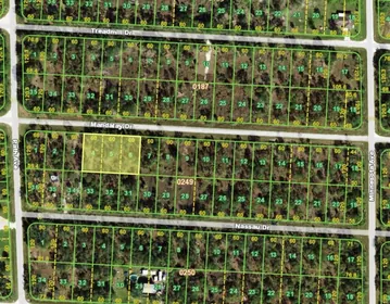 PUNTA GORDA FL Property