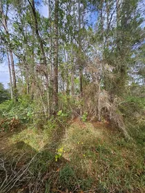 DELTONA FL Property