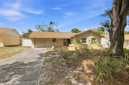 TEMPLE TERRACE FL Home