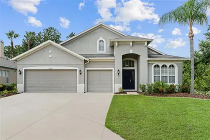 WESLEY CHAPEL FL Home