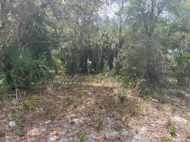 NORTH PORT FL Property