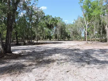 CRESCENT CITY FL Property