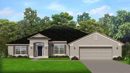 SPRING HILL FL Home
