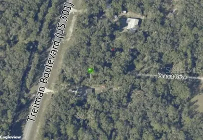 WEBSTER FL Property
