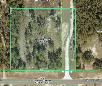 WEEKI WACHEE FL Property