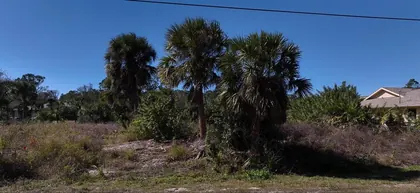 PORT CHARLOTTE FL Property