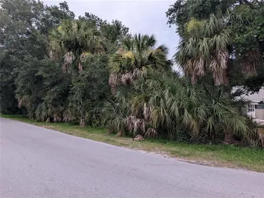 WEEKI WACHEE FL Property