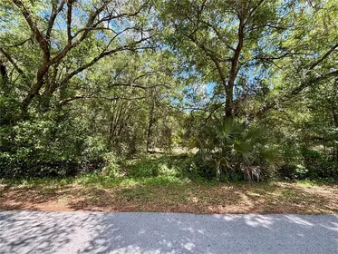 DUNNELLON FL Property
