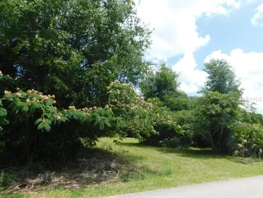 OCALA FL Property