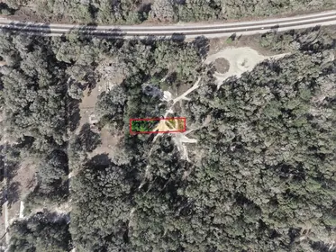 CITRA FL Property