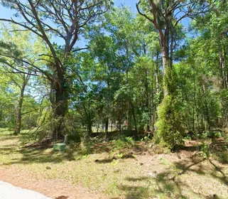 LECANTO FL Property