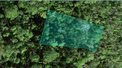 POINCIANA FL Property