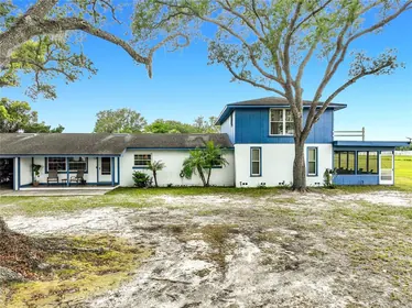 MOUNT DORA FL Property