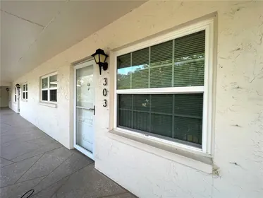 DUNEDIN FL Home