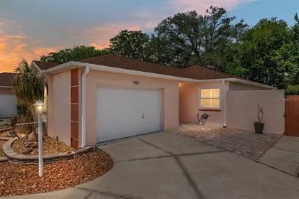 THE VILLAGES FL Home