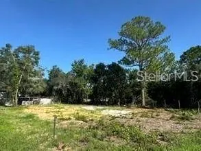 HAINES CITY FL Property