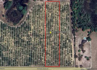 LAKE WALES FL Property