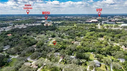 TEMPLE TERRACE FL Property