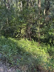 OCALA FL Property