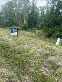 ST CLOUD FL Property