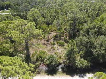 PUNTA GORDA FL Property