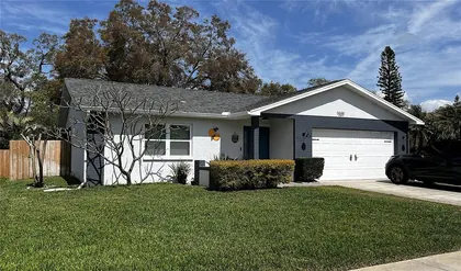 DUNEDIN FL Home