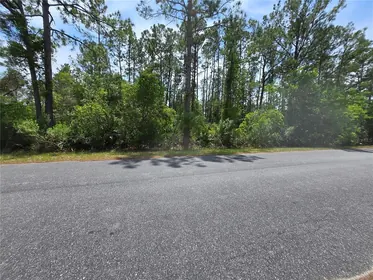 EUSTIS FL Property