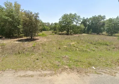OCKLAWAHA FL Property