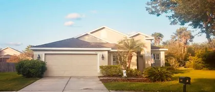 LITHIA FL Home