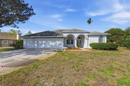 SPRING HILL FL Home