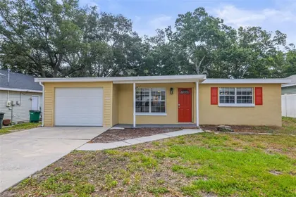 SAFETY HARBOR FL Home