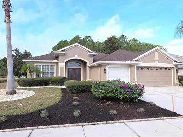 SPRING HILL FL Home