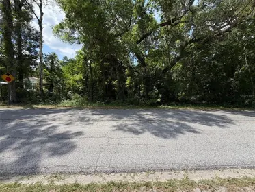 WEBSTER FL Property