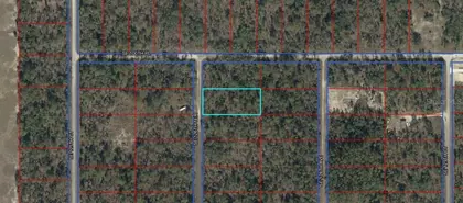 DUNNELLON FL Property