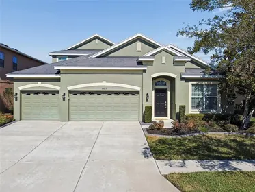 WESLEY CHAPEL FL Home
