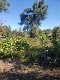 ORANGE CITY FL Property