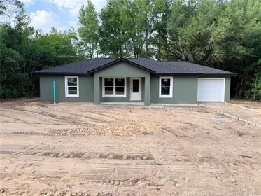 SUMMERFIELD FL Home