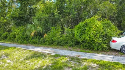 LECANTO FL Property