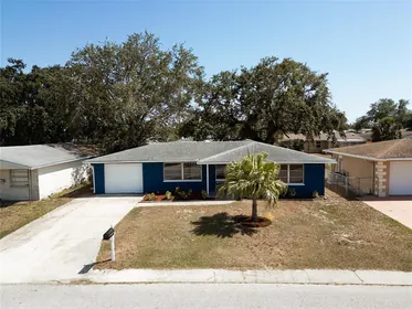 HOLIDAY FL Home