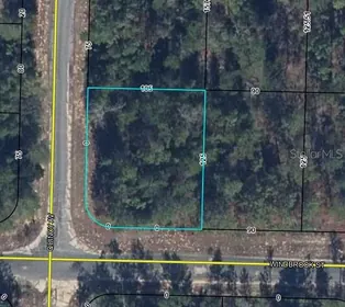 CHIPLEY FL Property