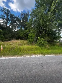 BOWLING GREEN FL Property