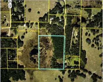 CENTER HILL FL Property