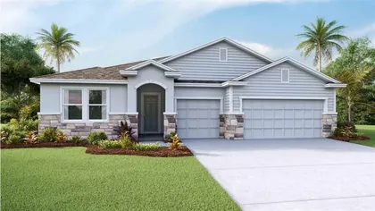 WESLEY CHAPEL FL Home