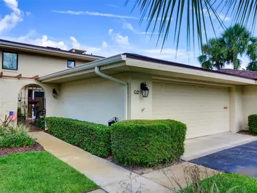 MOUNT DORA FL Home