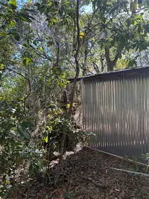 INVERNESS FL Property