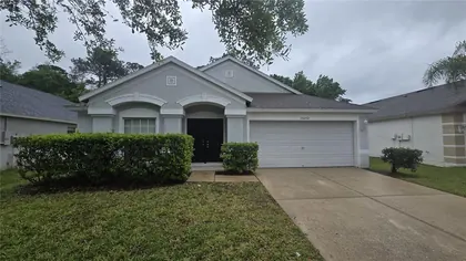 WESLEY CHAPEL FL Home