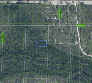 SEBRING FL Property
