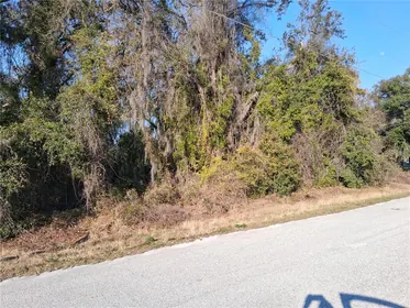 GROVELAND FL Property