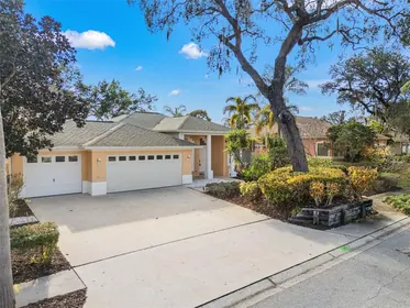 TARPON SPRINGS FL Home
