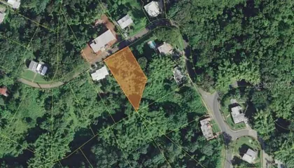MAYAGUEZ PR Property